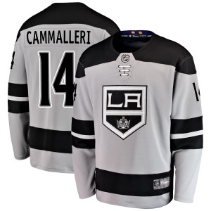 Los Angeles Kings Mike Cammalleri Official Gray Fanatics Branded Breakaway Adult Alternate NHL Hockey Jersey
